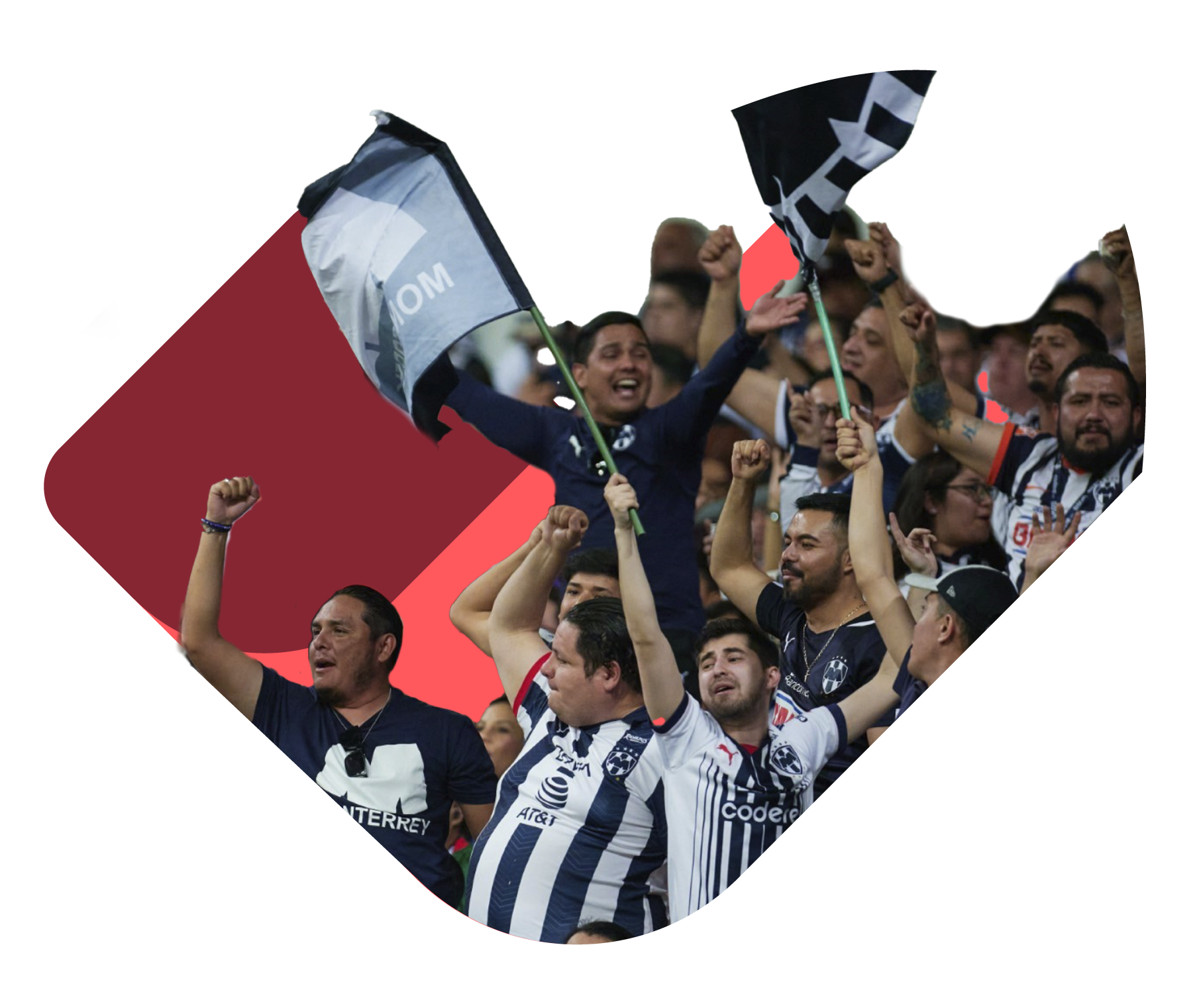 Aficionados Rayados